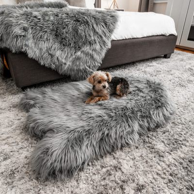 Paw.com x BarkBox PupRug™ Faux Fur Orthopedic Dog Bed - Charcoal Grey