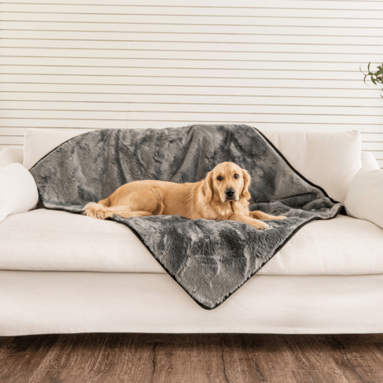 Paw.com x BarkBox PupProtector™ Short Fur Waterproof Throw Blanket - Charcoal Grey