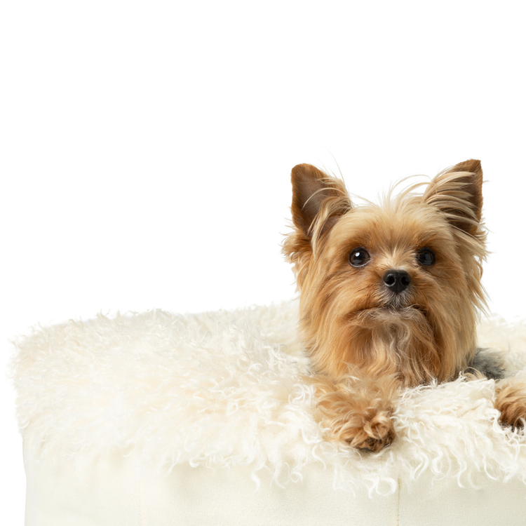 PupPouf™ Luxe Faux Fur Donut Dog Bed - Plush Sheep Ivory