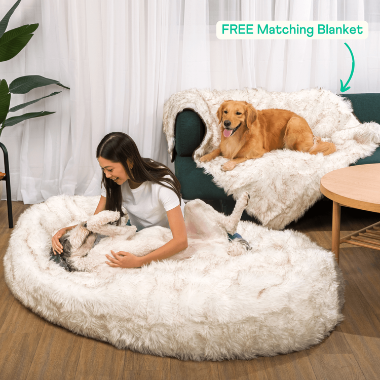 PupCloud™ Human Size Dog Bed + FREE Matching Waterproof Blanket