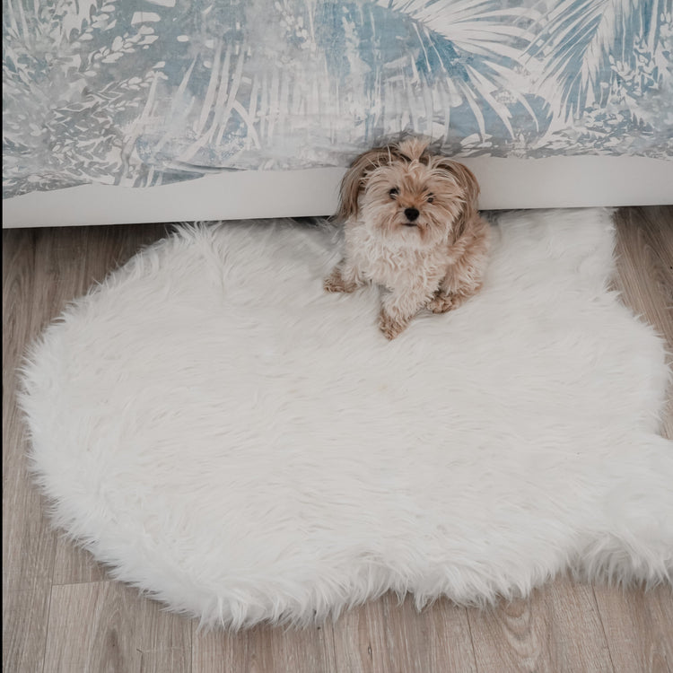 Paw.com x BarkBox PupRug™ Faux Fur Orthopedic Dog Bed - Polar White