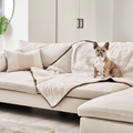 french bulldog resting on white short fur pet blanket on white couch