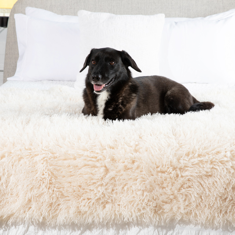 PupProtector™ Luxe Waterproof Faux Fur Blanket - Plush Sheep Ivory