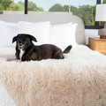 PupProtector™ Luxe Waterproof Faux Fur Blanket - Plush Sheep Ivory