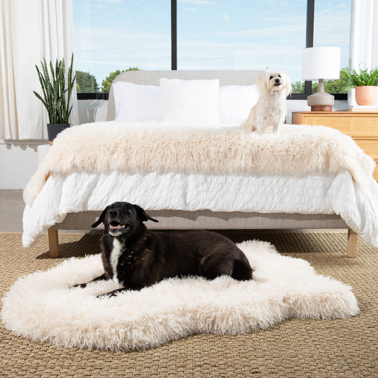 PupRug™ Luxe Orthopedic Bed + Matching Waterproof Blanket Bundle - Plush Sheep Ivory