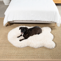 PupRug™ Luxe Faux Fur Orthopedic Dog Bed - Plush Sheep Ivory