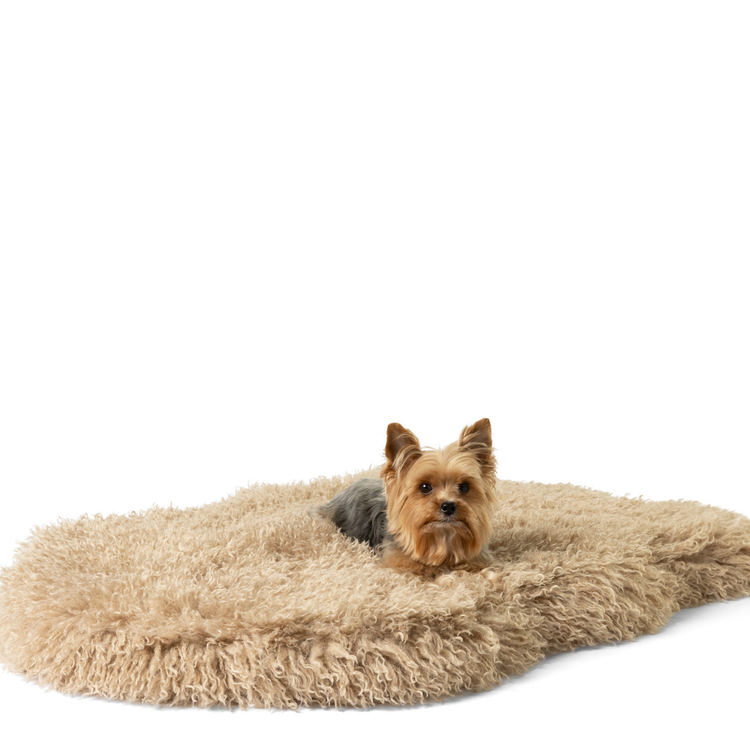 PupRug™ Luxe Faux Fur Orthopedic Dog Bed Cover - Plush Sheep Tan (Bed Not Included)