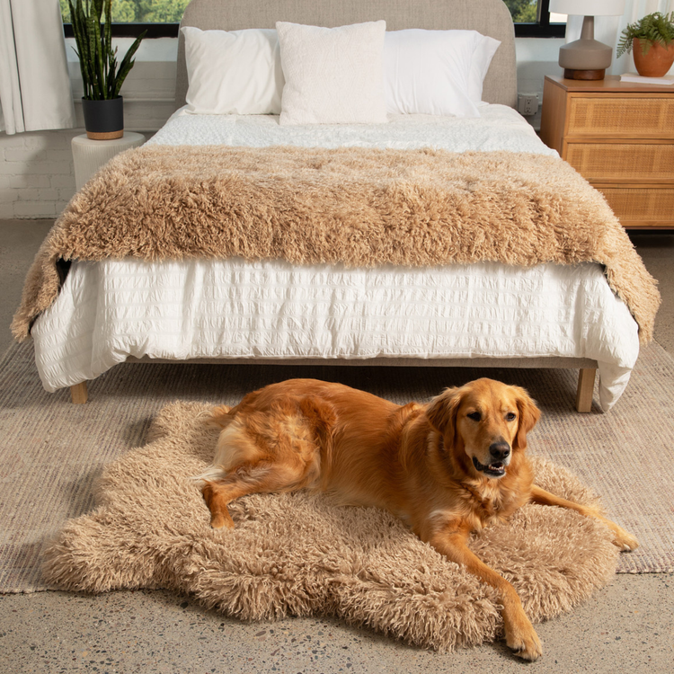 PupRug™ Luxe Orthopedic Bed + Matching Bed Runner Bundle - Plush Sheep Tan