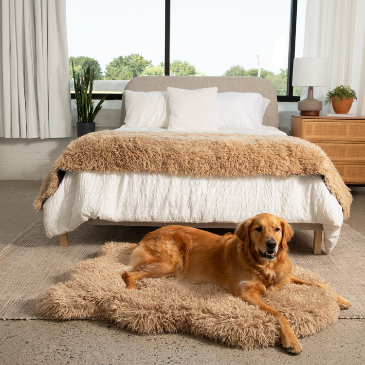 PupRug™ Luxe Orthopedic Bed + Matching Bed Runner Bundle - Plush Sheep Tan