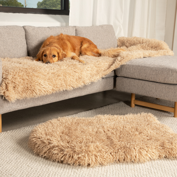 PupRug™ Luxe Orthopedic Bed + Matching Bed Runner Bundle - Plush Sheep Tan