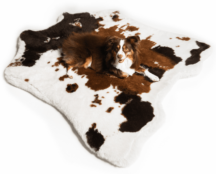 Aussie on Brown Cowhide -- Original Size