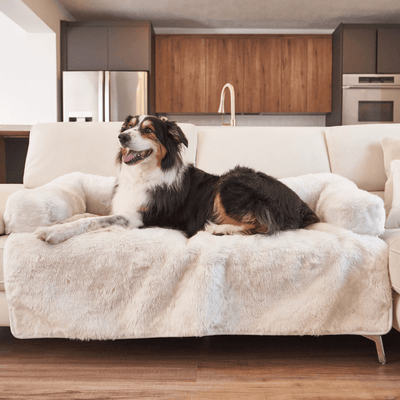 Black and White Dog resting on Polar White Couch Lounger