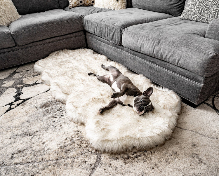 PupRug™ Runner Faux Fur Memory Foam Dog Bed Cover - Curve White with Brown Accents (Bed Not Included)