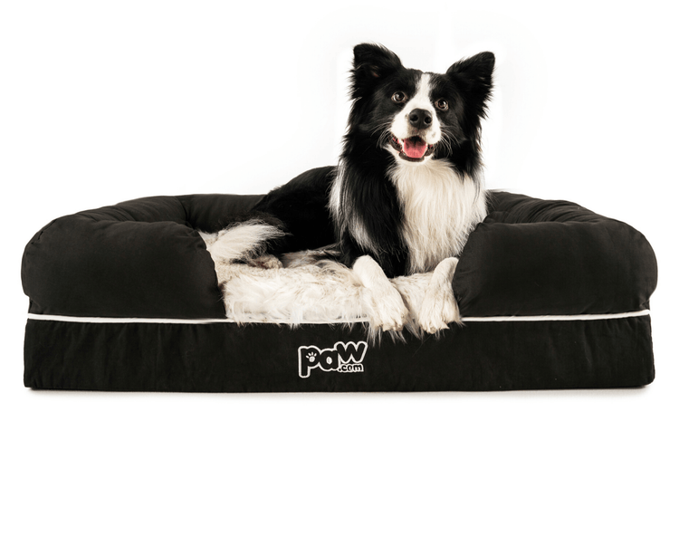 PupLounge™ Memory Foam Dog Bed Cover - Charcoal Grey (Bed Not Included) - Small