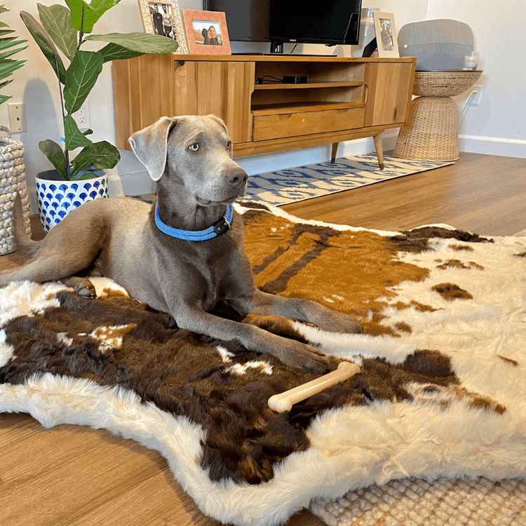 Cowhide dog bed hotsell