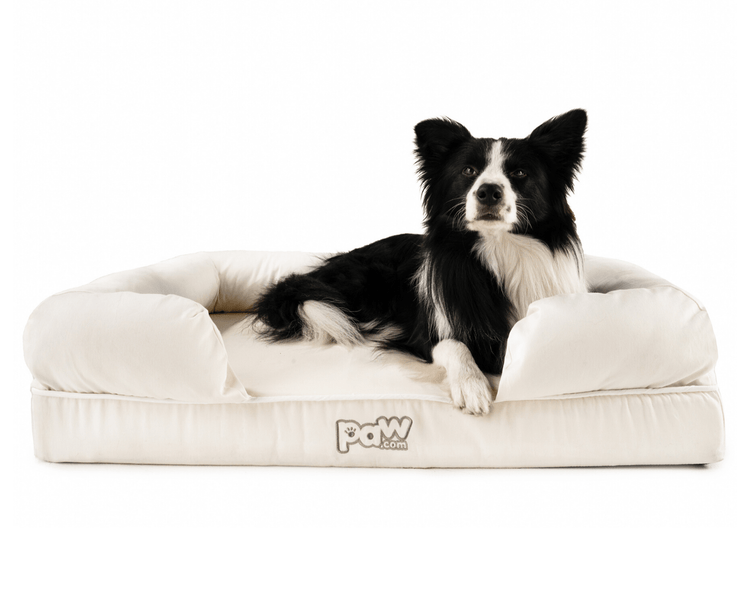 PupLounge™ Memory Foam Dog Bed Cover - White (Bed Not Included)