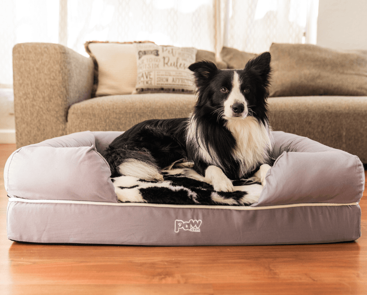 black faux cowhide topper on dog bed in living room