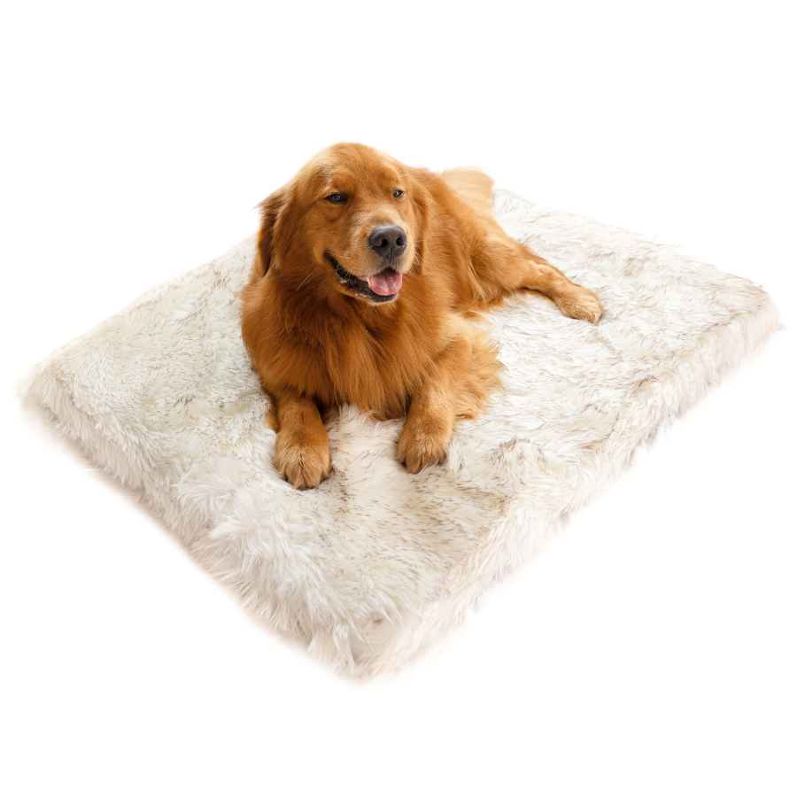 Hide Mat LG Grey in 2023  Dog beds for small dogs, Orthopedic dog