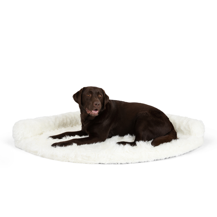 PupRug™ Memory Foam Corner Dog Bed - Polar White