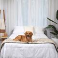 PupProtector™ Waterproof Bed Runner - White with Brown Accents