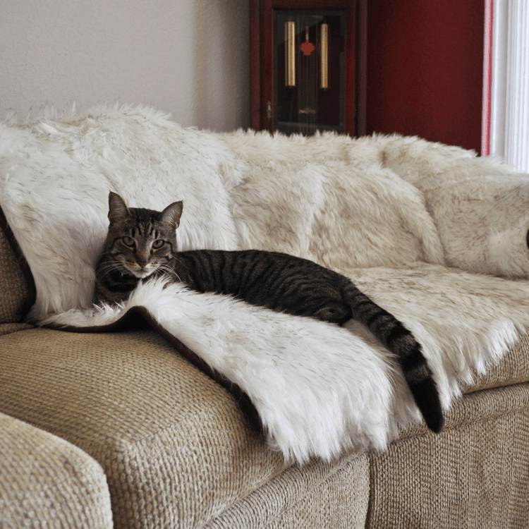 CatNap™ Anti-Scratch & Waterproof Throw Blanket - White with Brown Accents