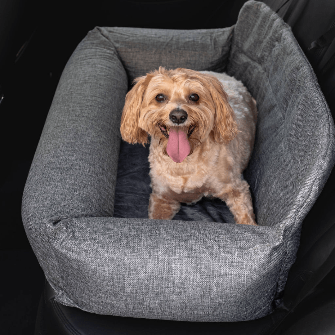 akinerri, Dog, Dog Bed For The Car