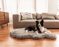 Charcoal Grey Faux Fur Curve Bed with Border Collie in Home