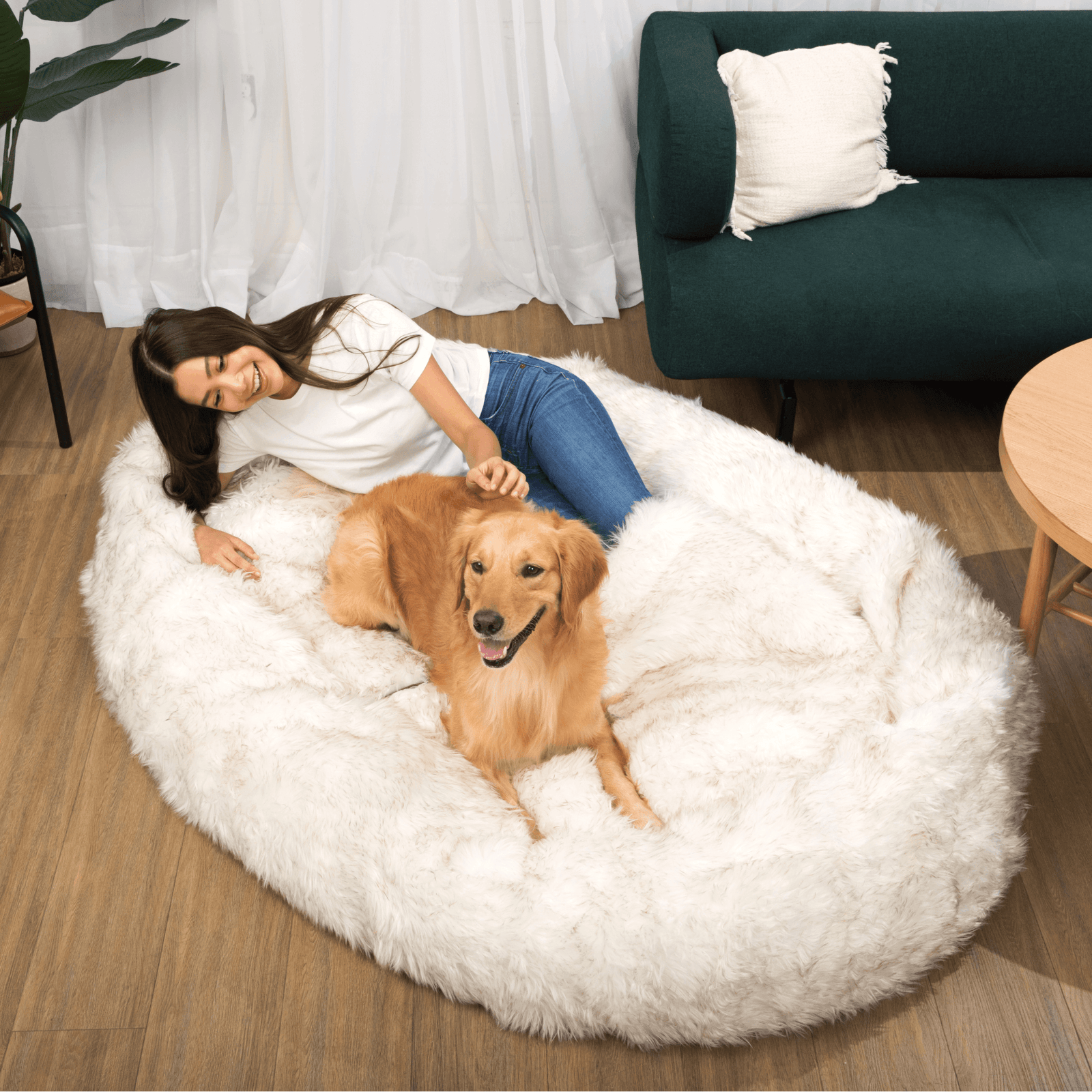PupCloud™ Human Sized Dog Bed - White with Brown Accents – Paw.com