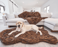 labrador retriever on brown bed