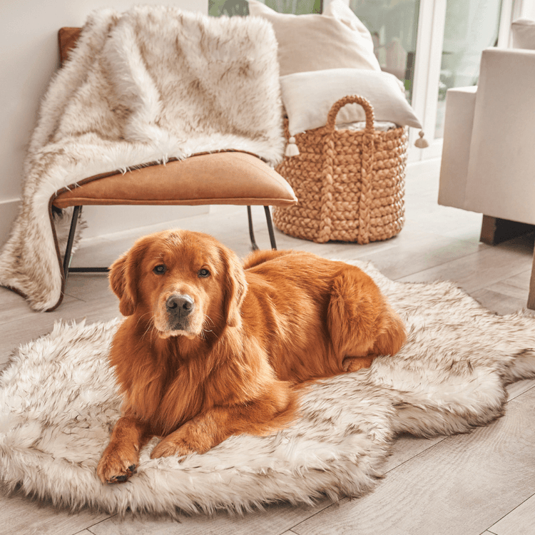 PupRug™ Orthopedic Bed + Matching Waterproof Blanket Bundle - White with Brown Accents