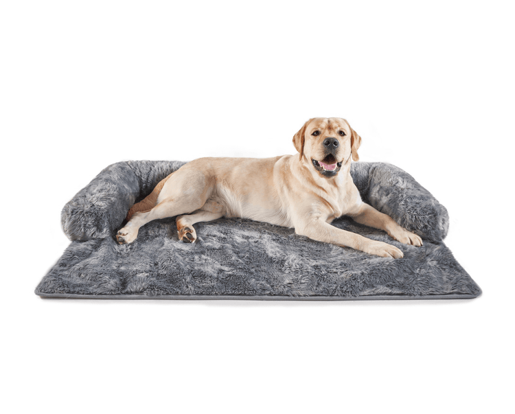 Labrador Retriever Dog resting on Charcoal Grey Couch Lounger