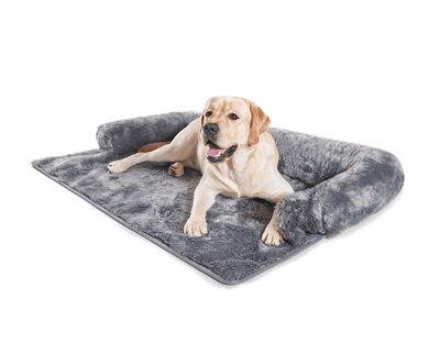 Labrador Retriever Dog resting on Charcoal Grey Couch Lounger