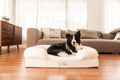 PupLounge™ Memory Foam Dog Bed Cover - White (Bed Not Included)