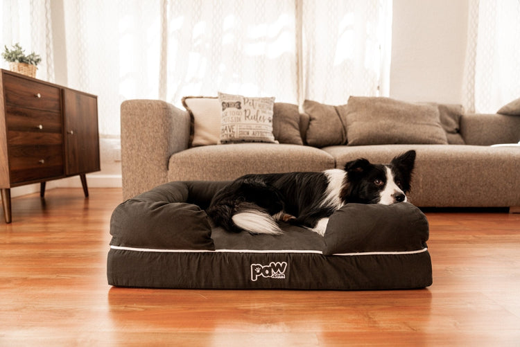 PupLounge™ Memory Foam Dog Bed Cover - Charcoal Grey (Bed Not Included) - Small