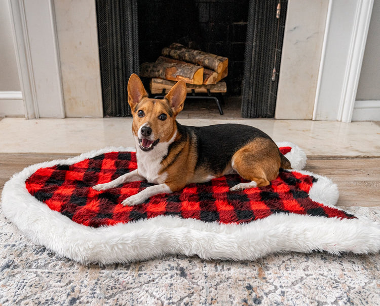 Corgi Dog posing on buffalo plaid red dog bed in front of fireplace