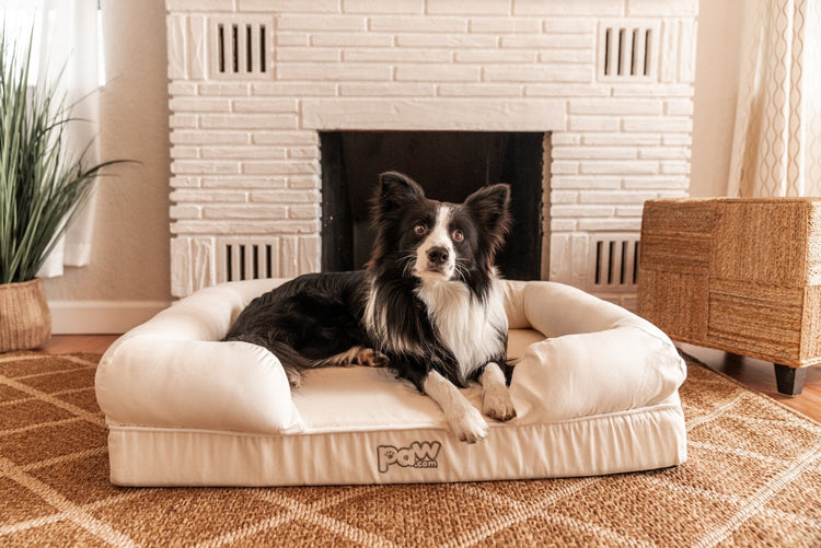 PupLounge™ Memory Foam Dog Bed Cover - White (Bed Not Included)