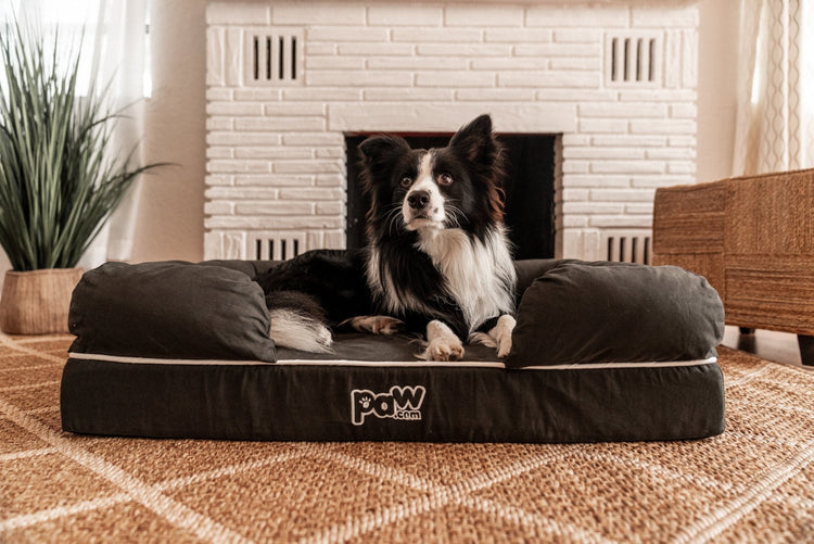 PupLounge™ Memory Foam Dog Bed Cover - Charcoal Grey (Bed Not Included) - Small