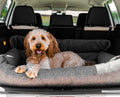 PupProtector™ Memory Foam Dog Car Bed