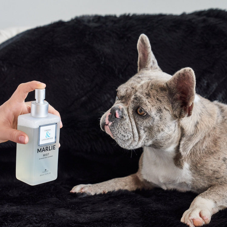 Marlie Mist Pet Odor Eliminator Spray with Essential Oils