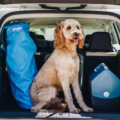 dog bed travel bag in the car on-the-go with happy dog