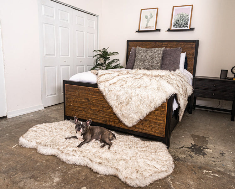 PupRug™ Orthopedic Runner Bed + Matching Waterproof Blanket Bundle - White with Brown Accents