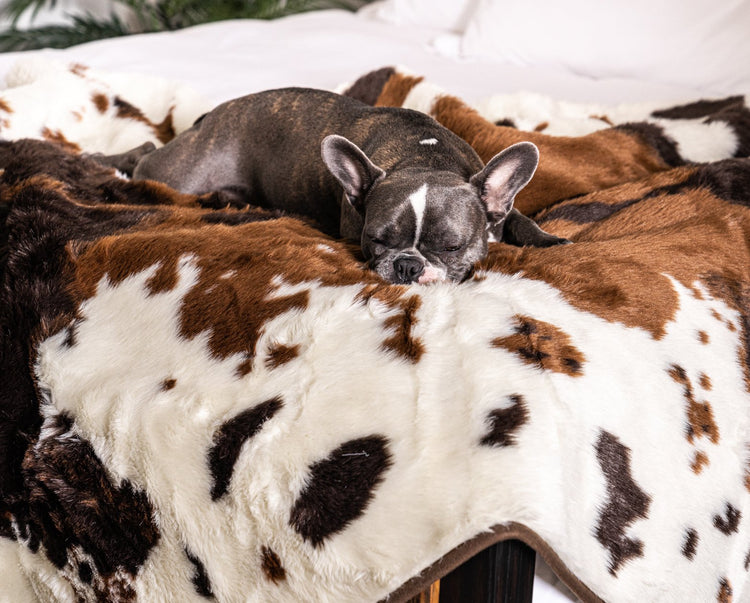 PupRug™ Memory Foam Bed + Matching Waterproof Blanket Bundle - Brown Faux Cowhide