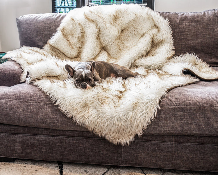 PupRug™ Orthopedic Bed + Matching Waterproof Blanket Bundle - White with Brown Accents