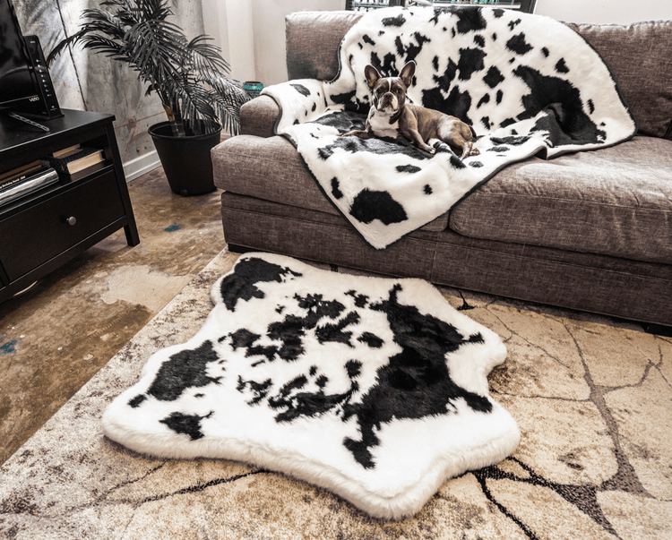 French Bulldog on Black Faux Cowhide