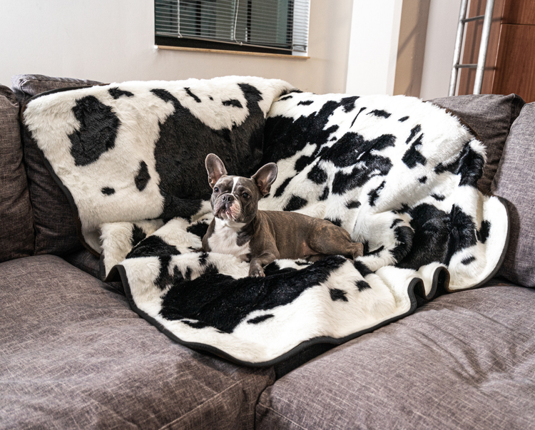 French Bulldog on Black Faux Cowhide Blanket