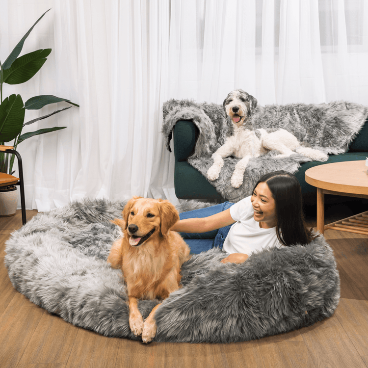 PupCloud™ Human-Size Dog Bed + Matching Waterproof Blanket Bundle - Charcoal Grey