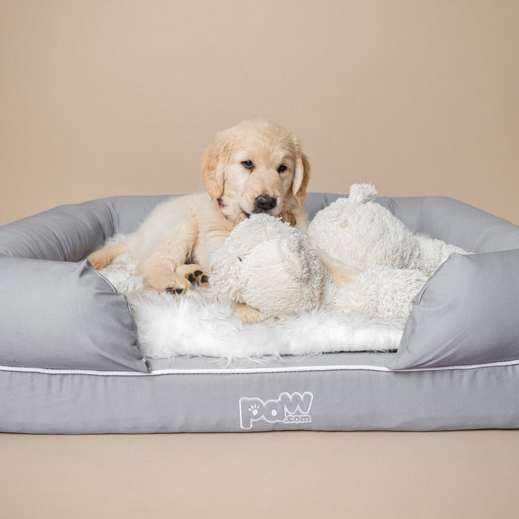 PupLounge™ Memory Foam Bolster Bed & Topper