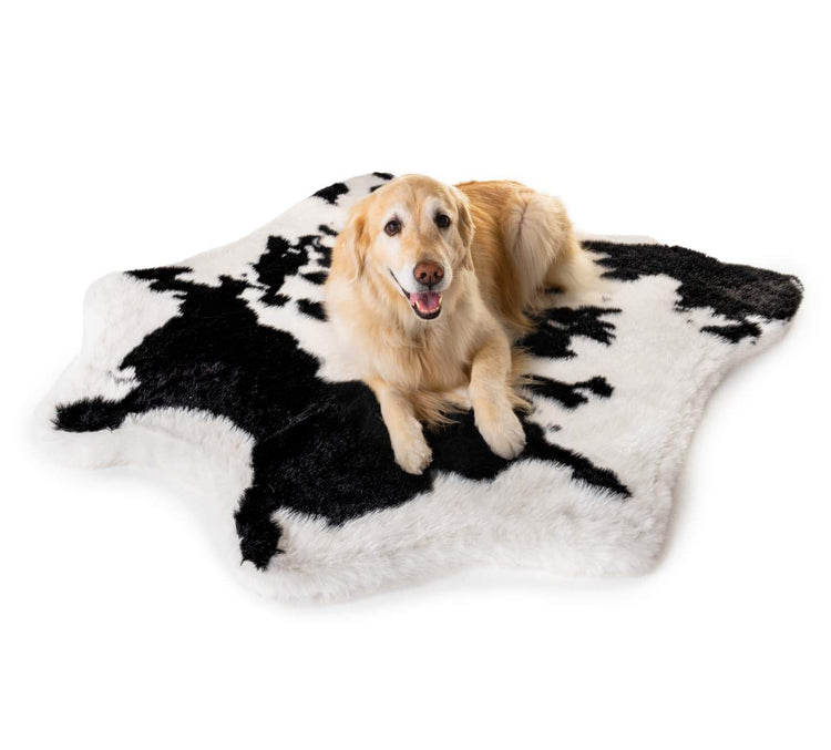 Golden Retriever Dog on Black and White Faux Cowhide Bed