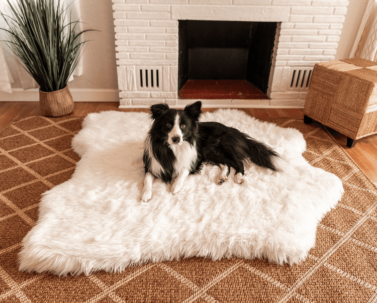 Border Collie on Polar White Faux Fur Memory Foam Pet Bed 