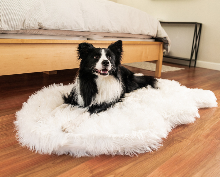 Dog on White Faux Fur Bed